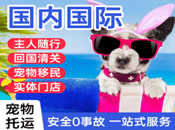 莎车叶尔羌空运代理国际宠物托运 【国